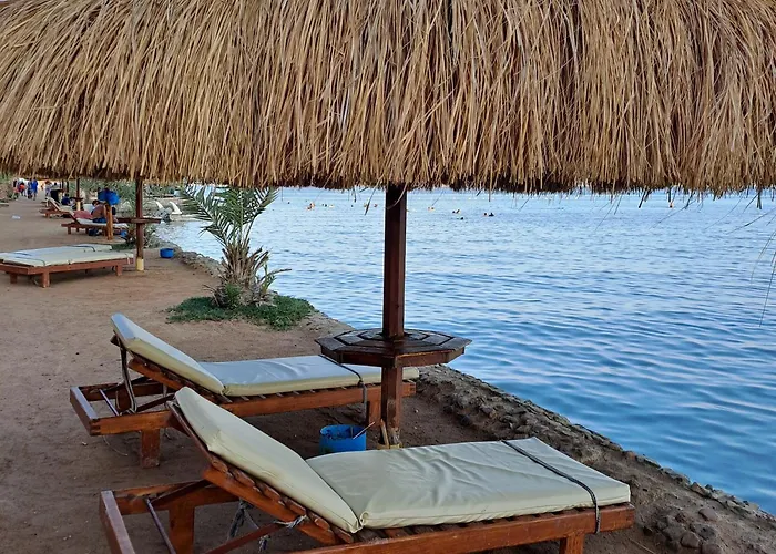 Otel Tiba Golden Resort, Down Town 4*